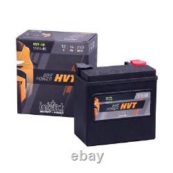 Genuine Intact ITX14-BS HVT Motorcycle Battery Power Motorbike 12V 14 Ah