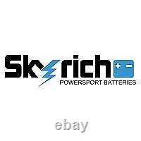 Véritable batterie de moto au lithium SkyRich YT7B-BS pour motos et scooters électriques.
